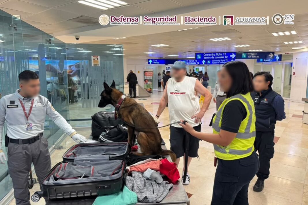 Detienen a pasajero con casi 10 kilos de cocaína ocultos en una maleta en el aeropuerto de Cancún